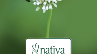 nativa